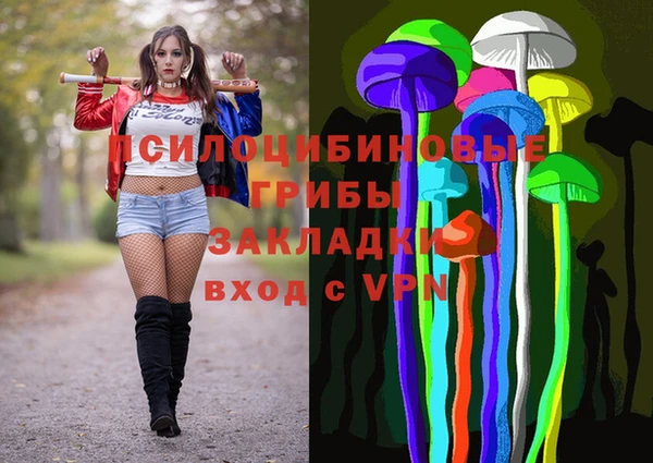 кокс Алексин