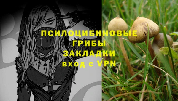 apvp Абдулино